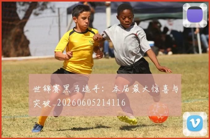 世锦赛黑马选手:本届最大惊喜与突破_20260605214116